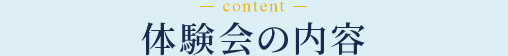 体験会の内容
